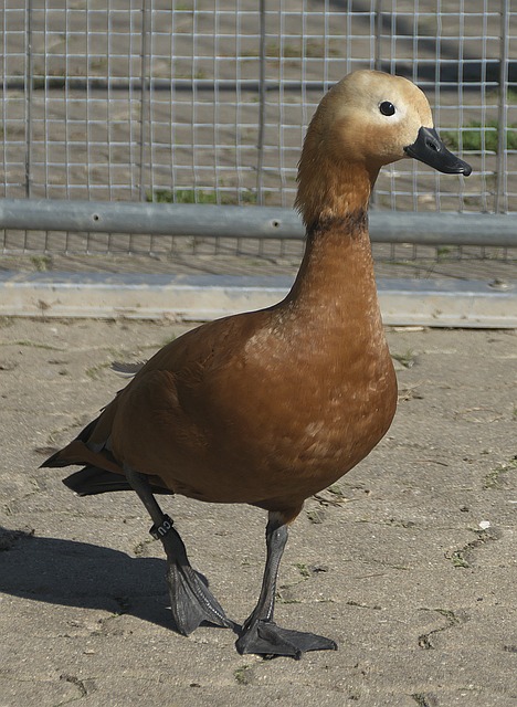 造了絕佳的