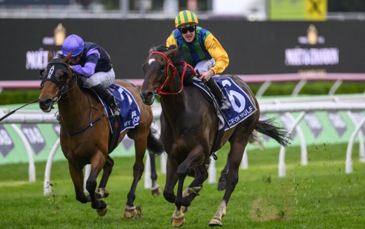 不可忽视的 不可忽视的