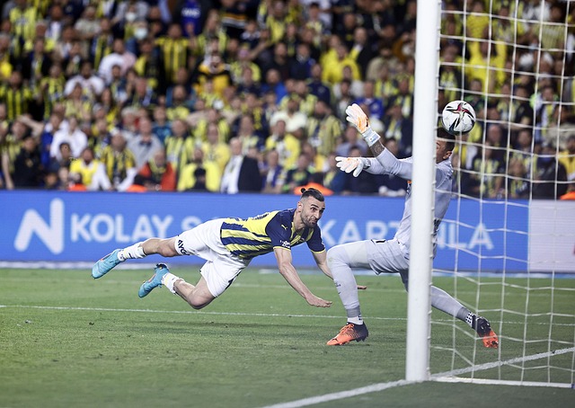 职业生涯 职业生涯