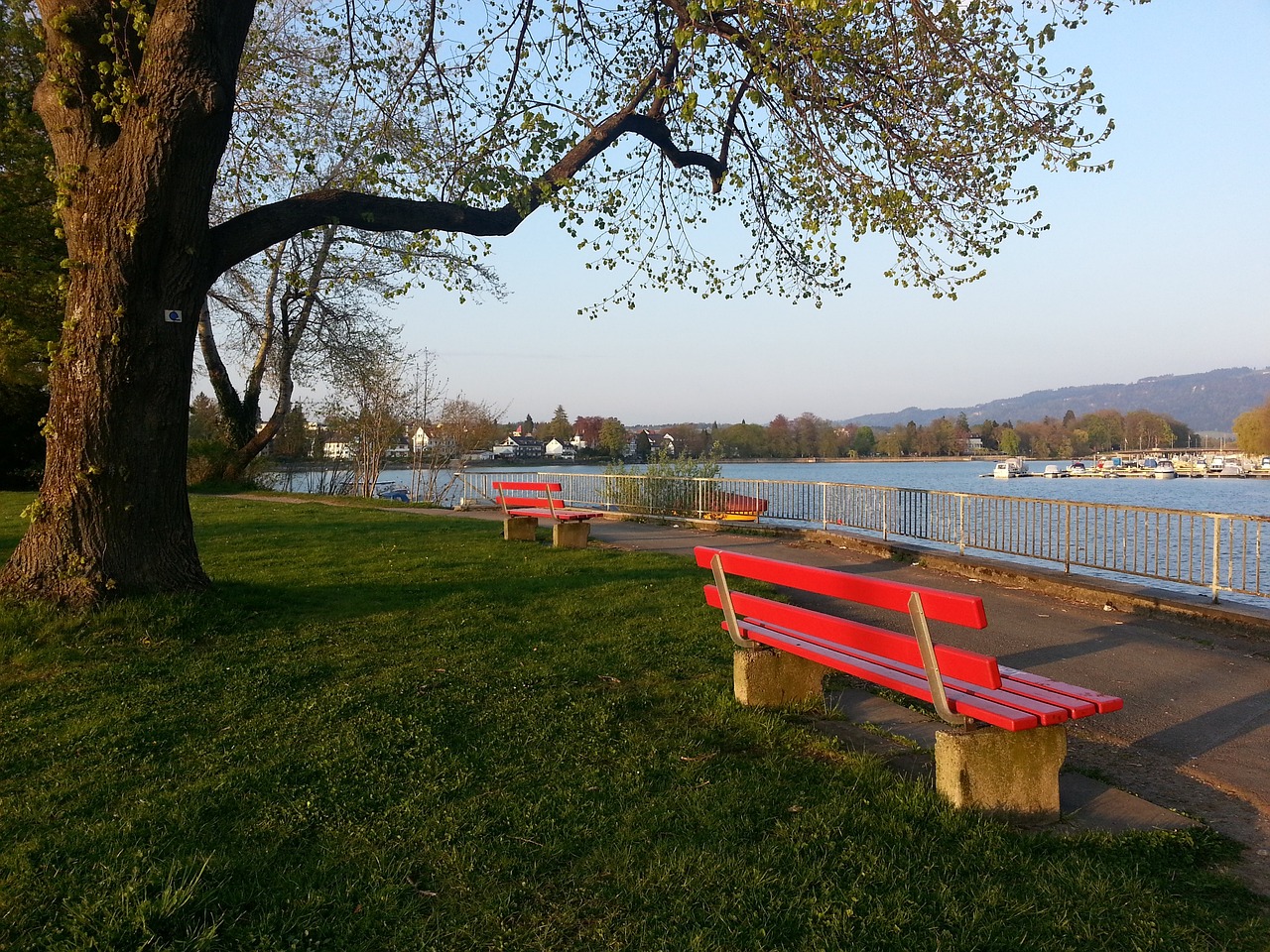 初期效果显 初期效果显